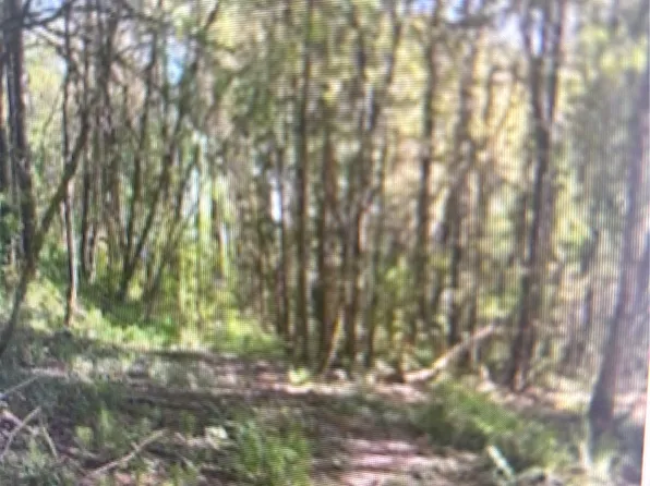 0 cris Road, Kelso, WA 98626