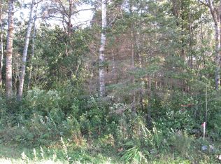 PARCEL 6 12th St SW, Backus, MN 56435