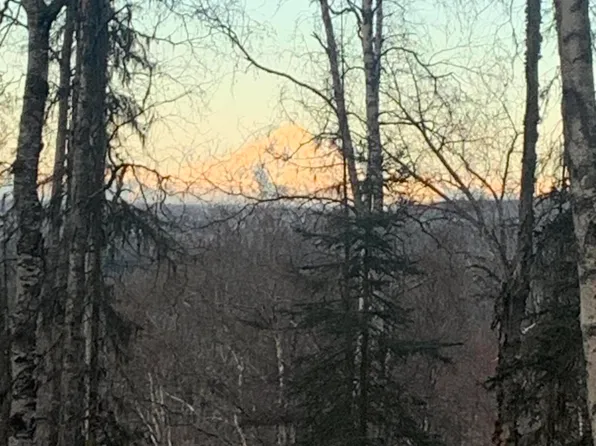 35025 Alicia Rd, Soldotna, AK 99669