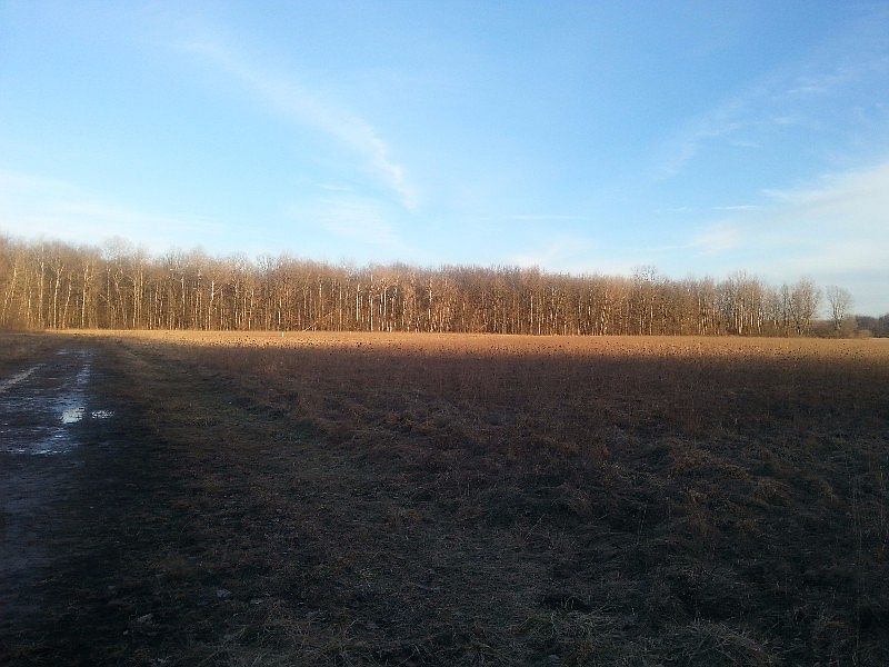 2nd image of 7200 N Jefferson Rd