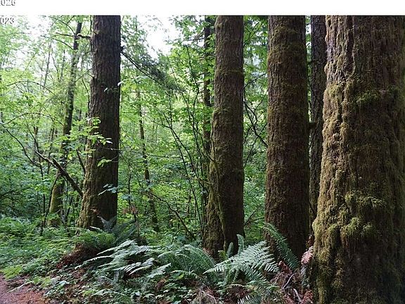4th image of 0 NE Buncombe Hollow Rd #1