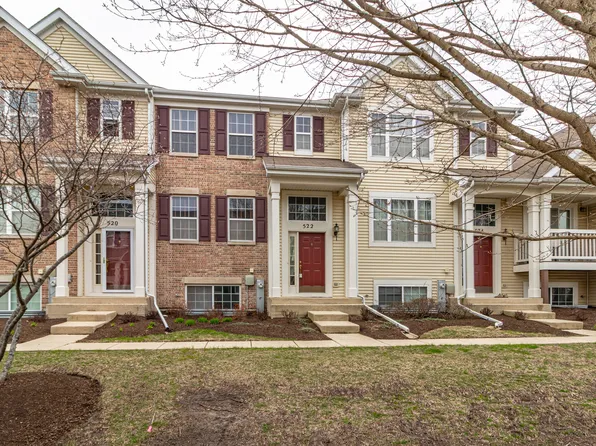 522 Richard Brown Blvd, Volo, IL 60073
