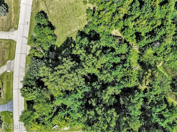 0 Shinanguag Dr, Goodrich, MI 48438