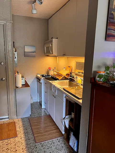 Studio, 450 sqft, $1,250 — Photo 4