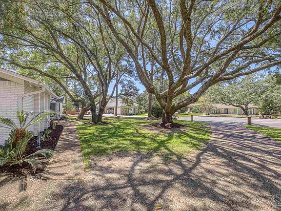 5th image of 3 Bow String Cir