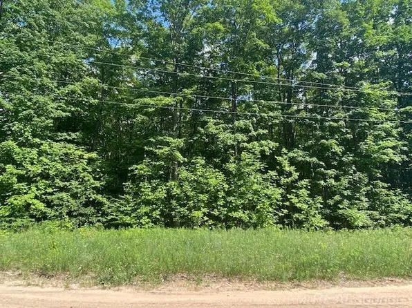 0 Miller Rd, Mancelona, MI 49659