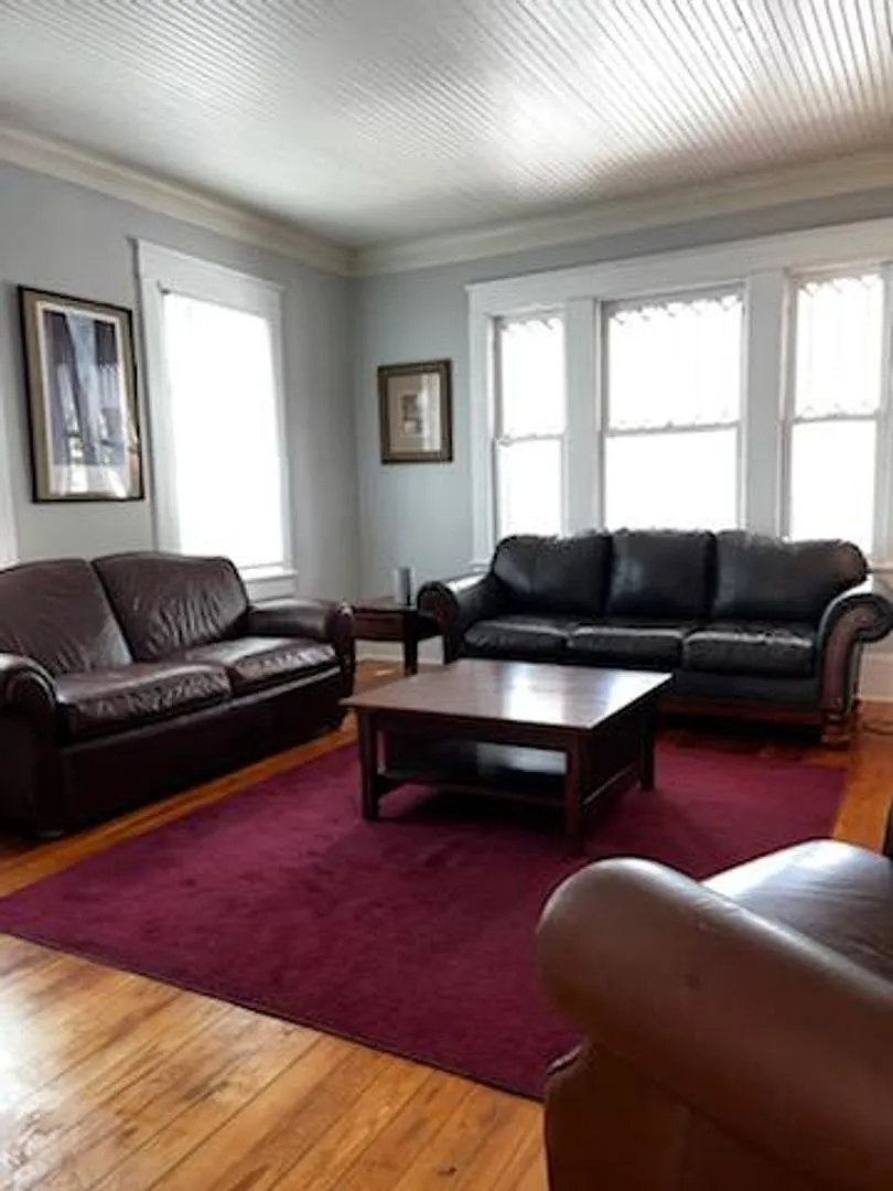 One Bedroom Furnished Apartment in Downtown New Bern — Photo 3