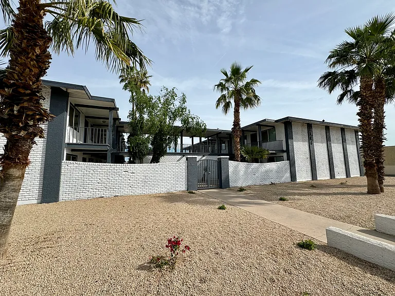 12 Palms — Photo 9