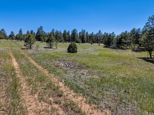 13583 Meadow Lark Dr #7/205, Weston, CO 81091