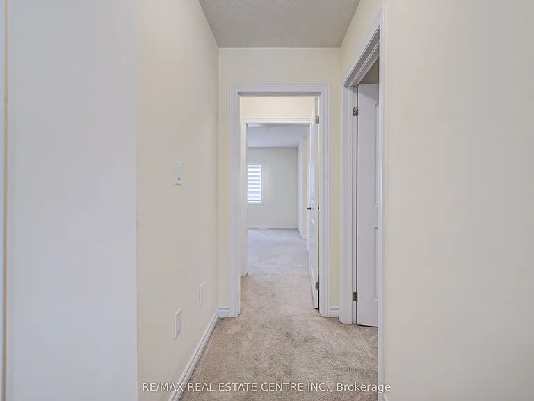 407 Dolman St — Photo 22