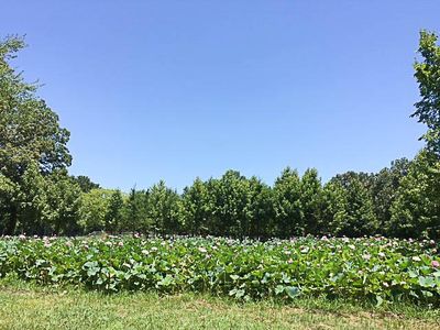1606 N Lovvorn Rd, Christiana, TN, 37037