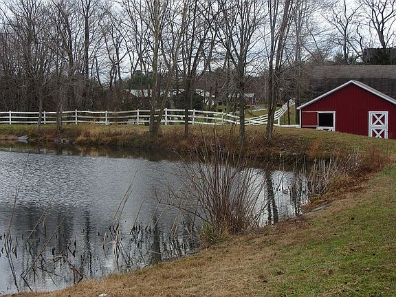 pond & barn