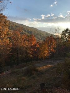 7280 Snake Hollow Rd, Sneedville, TN, 37869