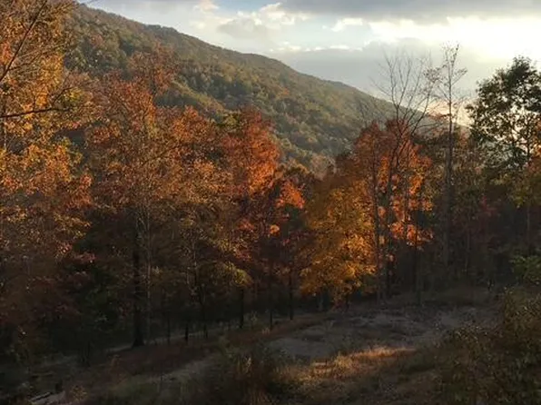 7280 Snake Hollow Rd, Sneedville, TN 37869