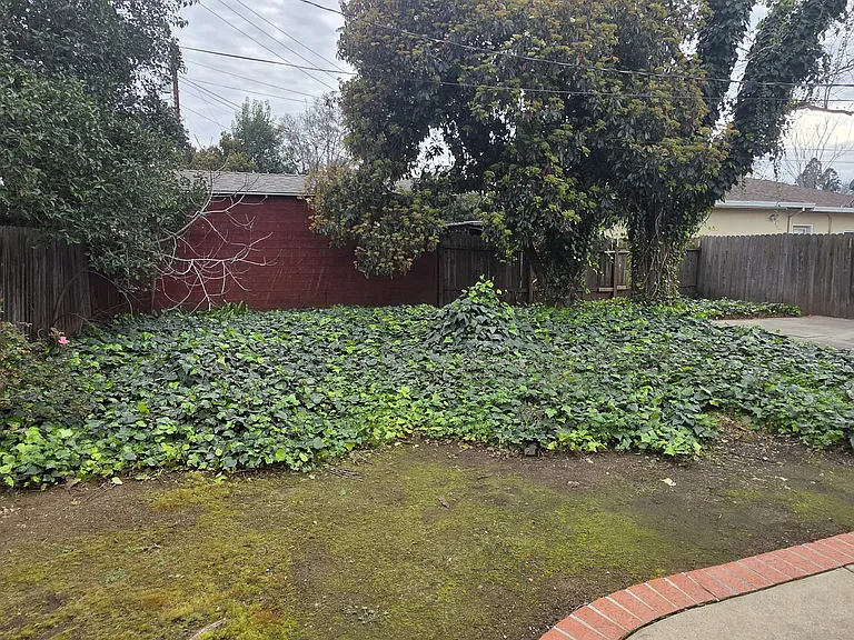 3800 Arden Way — Photo 25