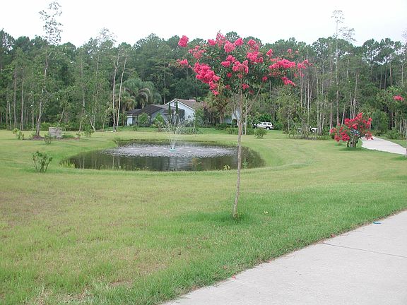 Front Pond