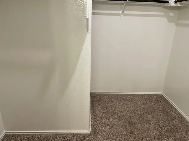 15506 Sweet Mimosa Dr — Photo 15