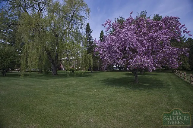 Salisbury Green — Photo 3