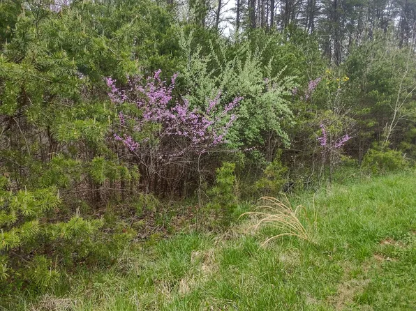 21 Lakewood Forest Rd, Moneta, VA 24121