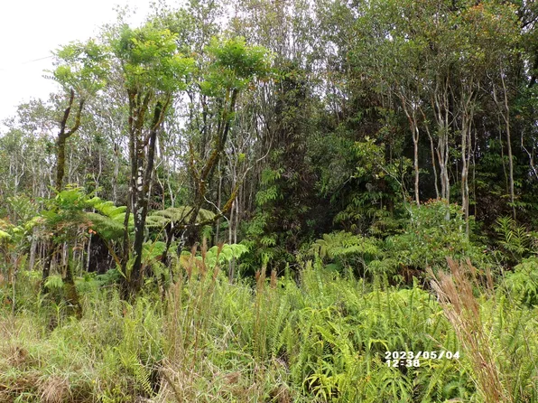 18-2305 Ola Kino Rd Lot 289, Volcano, HI 96785