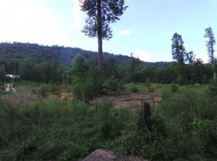 0 Snowflake Rd, Surgoinsville, TN 37873