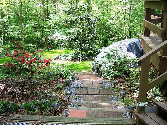 View from Rear Deck Terraces