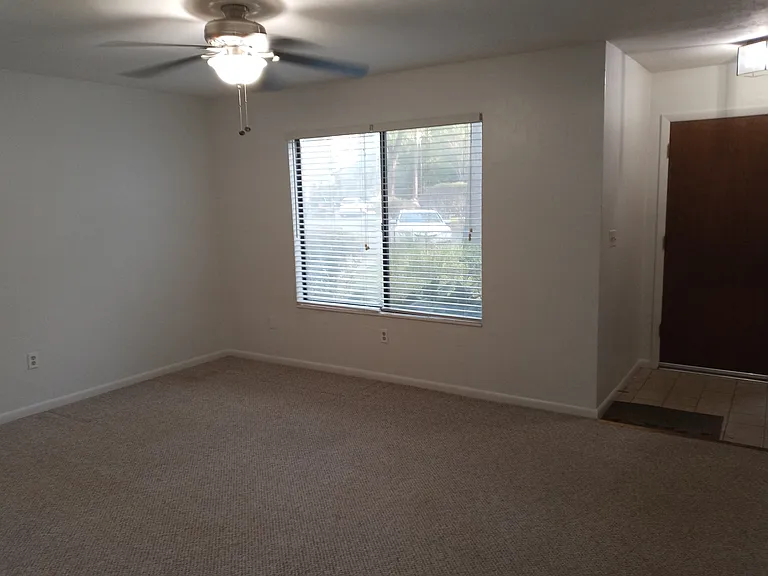 4410 Black Forest Way — Photo 7