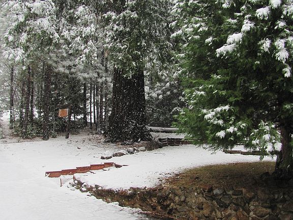 Knotty Pines driveway