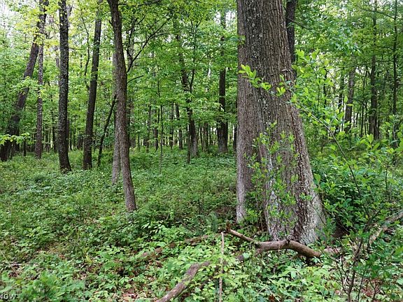 5th image of 206 State Rd