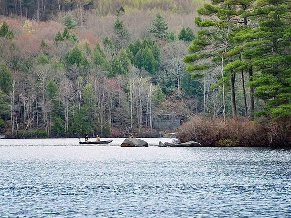 5th image of 1195 Bennington Road