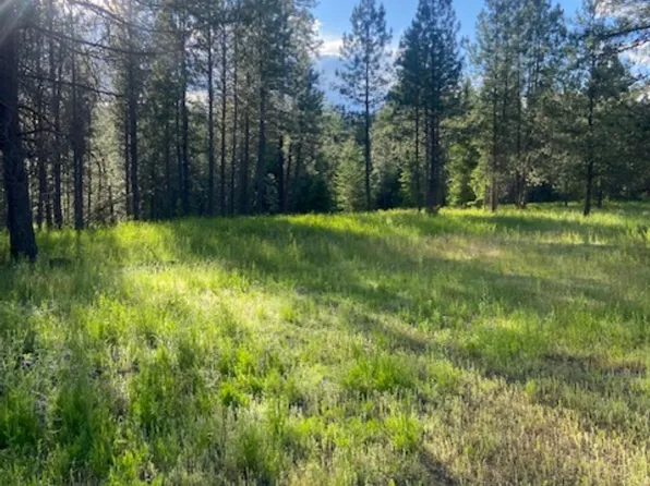 36419 N Findley Rd, Deer Park, WA 99006