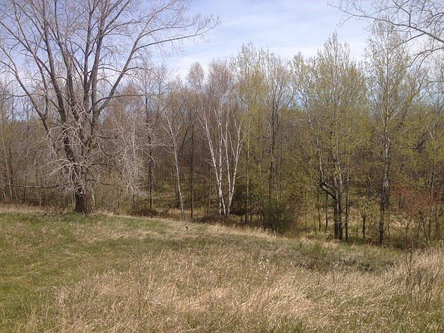 2nd image of 6924 E Center Rd