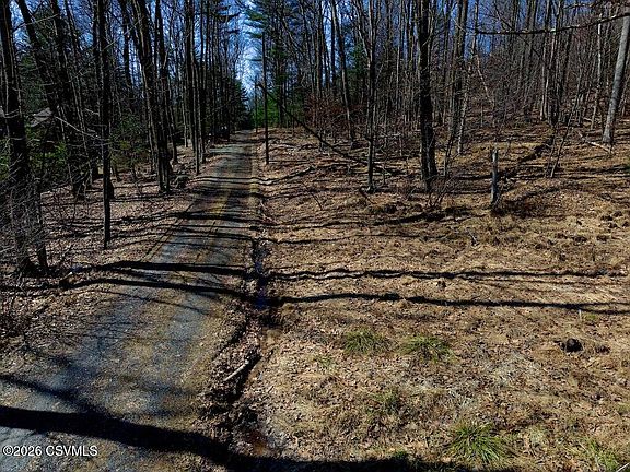 2nd image of Squirrel Ln