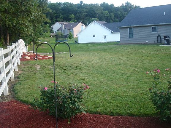 Backyard View