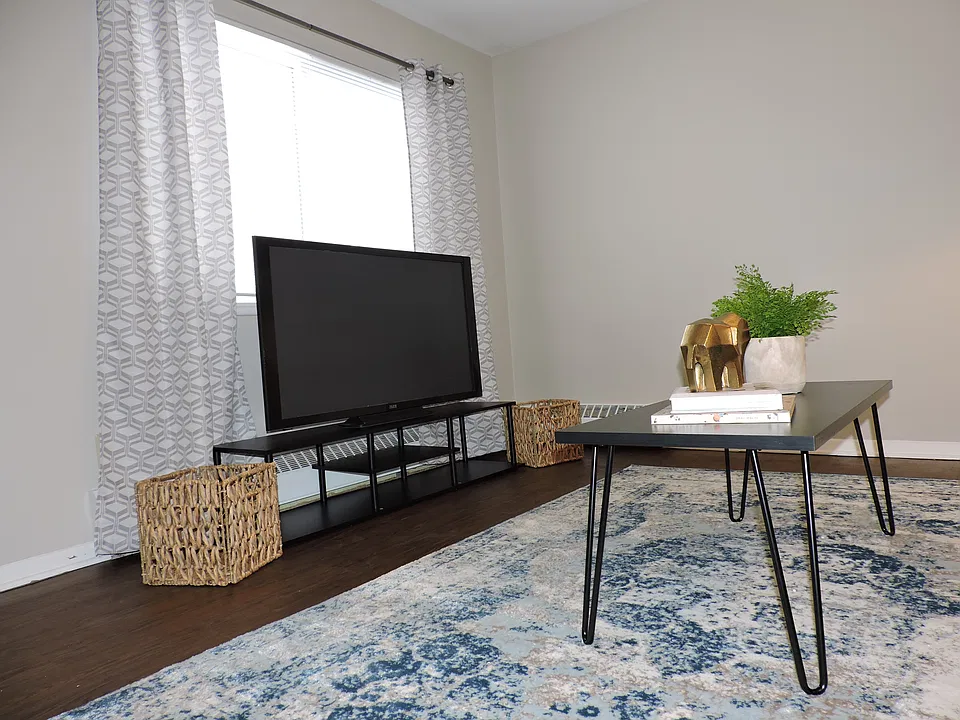 Living Room Area