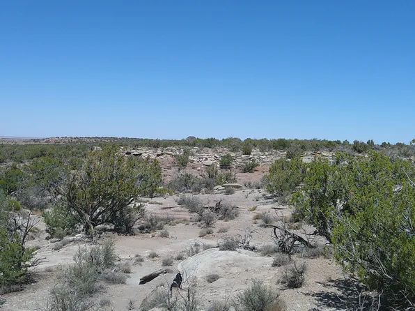 8581 Justin Ln, Snowflake, AZ 85937