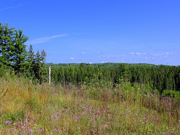 2nd image of 15838 Us Highway 41 W