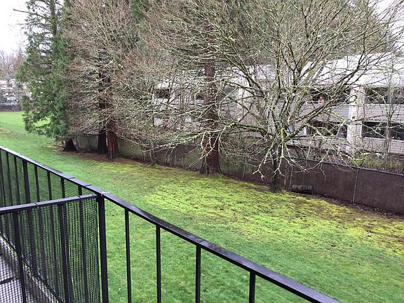 View from back balcony