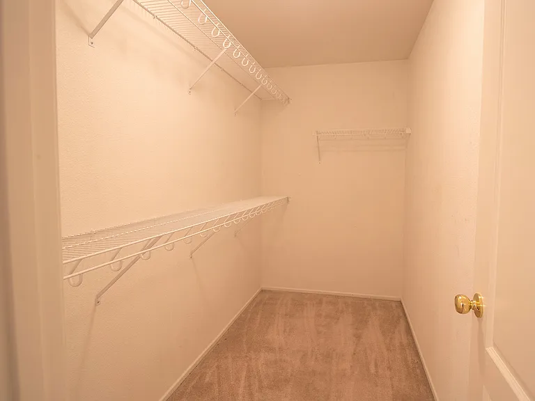 11986 White Lilly St — Photo 15