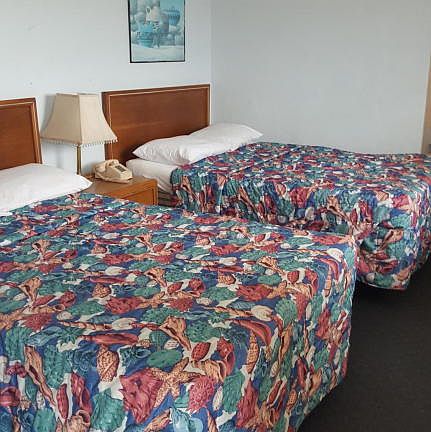 3rd image of 1233 N Atlantic Ave #4220
