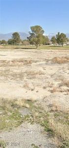 3141 Burning Tree Ct, Pahrump, NV, 89048