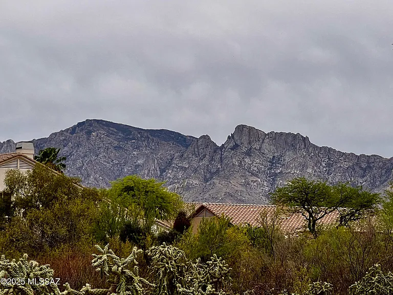 371 W Sacaton Canyon Dr — Photo 42