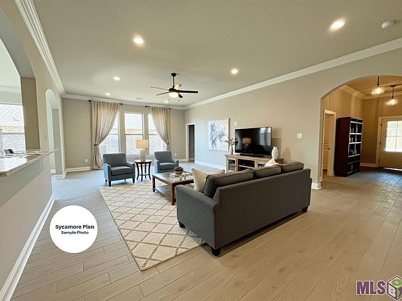 3rd image of 617 Ramsey Spring Dr