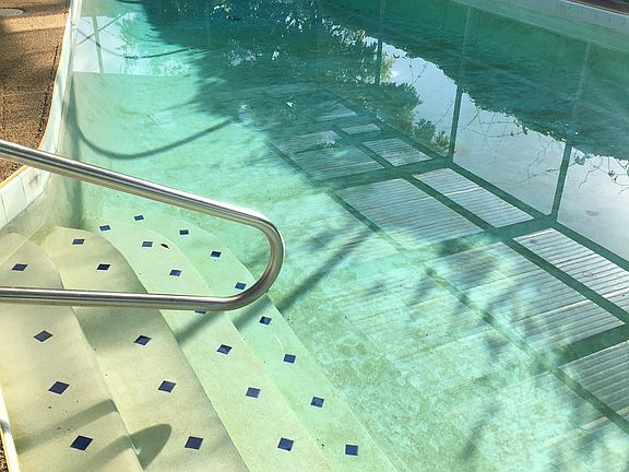 Large in ground pool. 