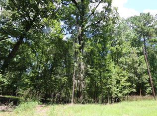 28411 County Road 374, Broaddus, TX 75929