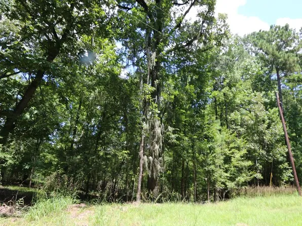 28411 County Road 374, Broaddus, TX 75929