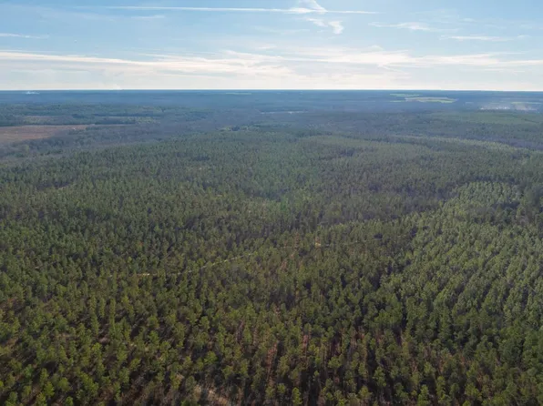 0 Addie Dairy Rd, Preston, GA 31824