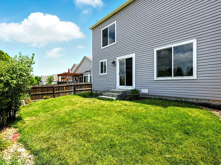 Back yard