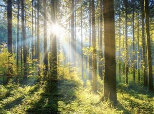 9150 Morrison Rd, Rushford, NY 14777