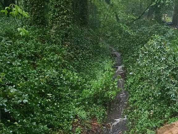 Wash flowing during rain